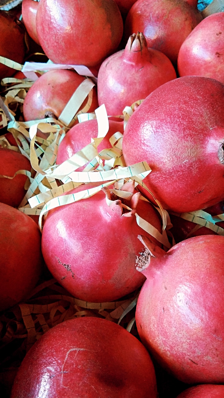 WhatsApp Image 2024-02-27 at 02.58.17