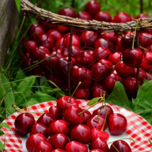 Imported Fruits