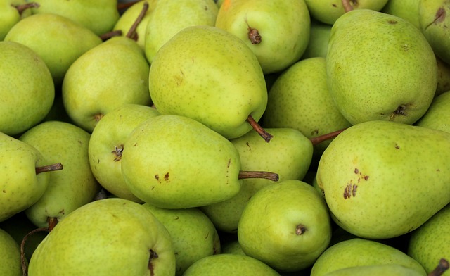 pears-4055660_640